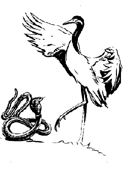 Illustration 6